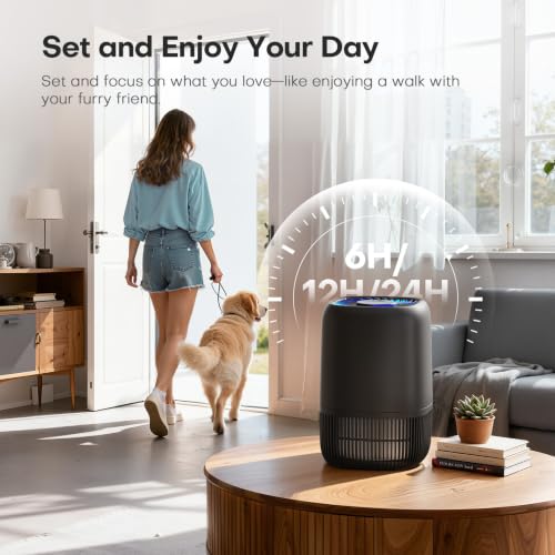VOOPNU Black Air Purifier