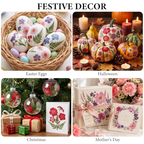Image of NESCCI 412 Pcs Purple Pink Dried Flowers for Crafts,Real Nature Dried Flowers for Craft Bulk Dry Flowers Leaves Kit Used for Resin Molds Scrapbooking DIY Art Crafts Candle Soap Making Nails Decor