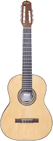 Rozini, Violão Acústico 7 Cordas Rozini Fosco RX207 ACFI Imbuia