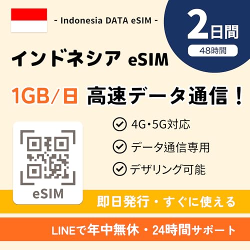 ChlVA eSIMb2 1GB f[^ʐM ᑬbsEgbf[^pidbԍȂjb24LINET|[g C[V o esim ChlVA sim (eSIM | 2)