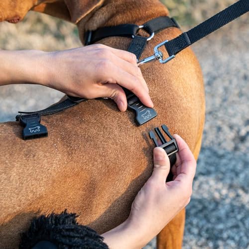 Ferplast Hundegeschirr Mittelgroße Hunde Brave MEDIUM, Ausbruchsicheres Hundegeschirr, Greyhound, Verstellbares Geschirr für Hunde, 6 Verschlüsse, Schwarz