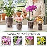 Yimomoyi B0GD6N46HX lato 2