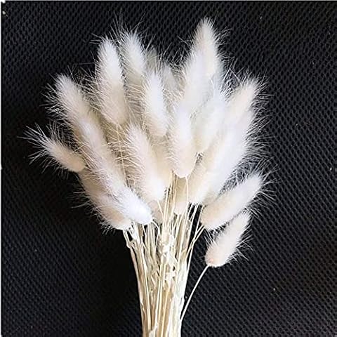 White Bunny Tails Grass Dried Pampas Grass Decor Artificial Flower Bouquet Plants Decorative Home accessories Boho Bedroom Living Room table Garden Vase Wedding Decorations 50 Stems Natural Fluffy Cover