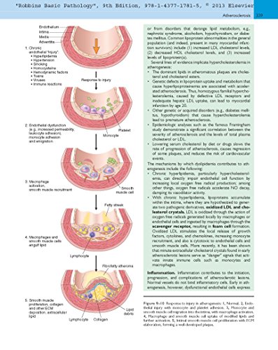 Robbins Basic Pathology: With Student Consult Online Access (Robbins Pathology) #TOP3