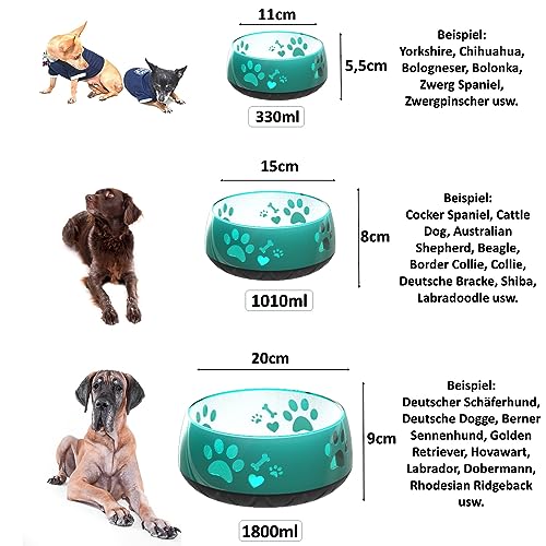 Hundenapf für kleine und große Hunde - Futternapf & Trinknapf für mittlere Hunde (M 1010ml), rutschfest, Smaragdgrün