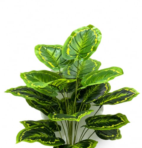 Image of Cocco.BUA Artificial Plant with Black Pot, 18 Leaves, 76 CM (2.5 Feet) (Calathea Orbifolia Plant)