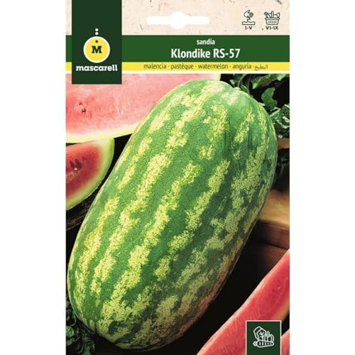 Mascarell Semillas, SANDÍA, Semillas Huerto, SANDÍA KLONDIKE RS-57, Crea tu Propio Huerto Urbano y Cultivo en Casa, Plantas Hortícolas, 5 Gramos