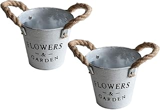 Cabilock 2 peças de baldes de flores rústicos com duas alças retrô metal ferro arte de flores decorativas plantas suculentas recipientes para plantas decoração de casa de fazenda 11 x 7,5 cm