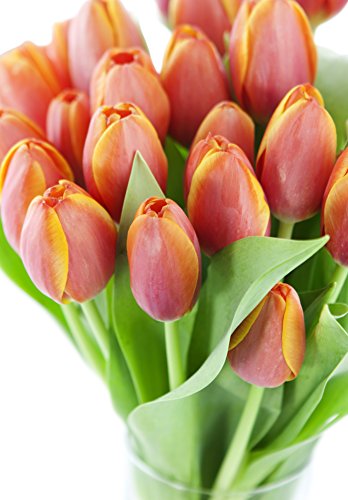Image of KaBloom-30 Orange Tulip Bouquet,Flowers for Valentine, Mother's Day