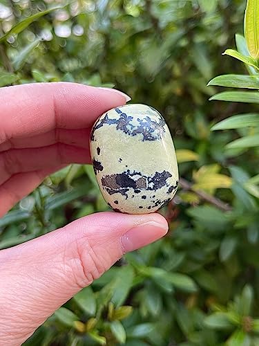 Image of GAF TREASURES 1 /2 LB Serpentine Tumbled Stones, Polished Serpentine Gemstone, Serpentine Healing Crystals (Serpentine)