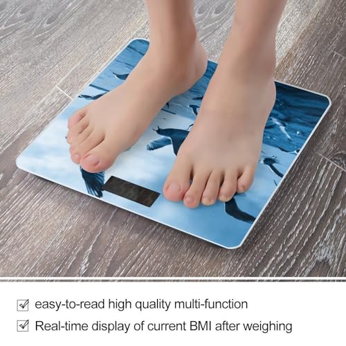 Báscula digital de baño con pantalla LCD y sensores precisos miniatura 5