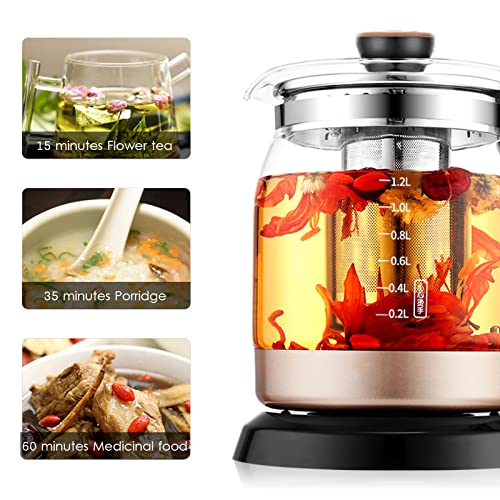 Hokcus Chaleira elétrica de vidro borossilicato de fervura rápida, luz indicadora de LED, função man