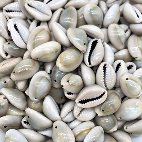 Fundiyoug 100 PCS 0.63-0.71 Natural Cowrie Sea Shell Beads Cowrie Shells Charms Beach Seashells with Hole for Earring Bracelet Jewelry Making Wedding Party Wall Home Decor(16-18mm Small Hole)