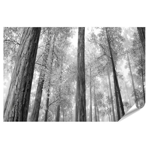 Poster forêt rêveuse grand format pour un salon nature et zen