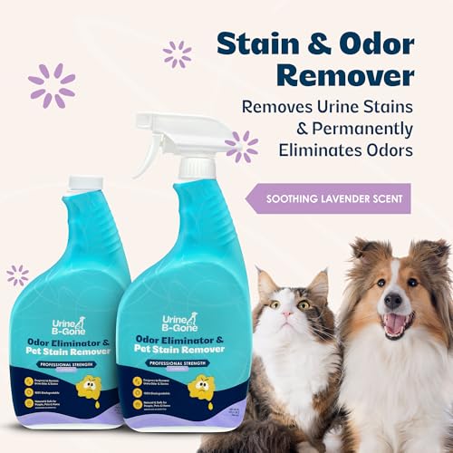 Image of Urine B-Gone Enzyme Cleaner for Human & Pet Urine, Lavender, 32 oz, 2-Pack