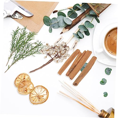 Kit de Flores Secas para Manualidades y Decoración miniatura 5