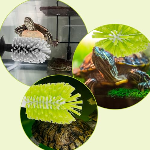 Image of 2pcs Turtle Brush with Suction Cup, Tortoise Shell Cleaning Scrub, Pet Back Mud Bristle Cleaner, Exfoliate Scrubber Scratcher, Aquatic Aquarium Tank Toy Accessories, Kitchen Sink Wine Bottle Glass