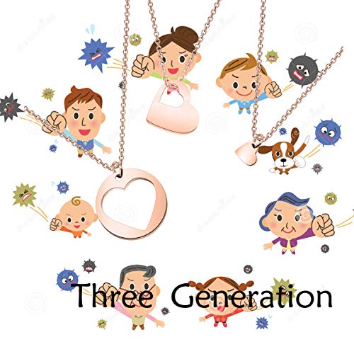 ENSIANTH Generations Necklace Set Mother's Day Gift Heart Cutout Necklace For Grandmother Mother Daughter (Generations Necklace RG) - Image 5
