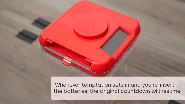 Amazon.com: Kitchen Safe Time Locking Container (Medium), Timed