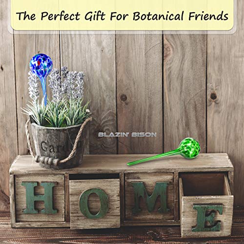 Blazin' Bison Automatic Irrigation Drippers Extra Large | Watering Globes for Indoor Plants | House Plant Water Bulb | Up to Two Weeks | 2pc Set (Jumbo)