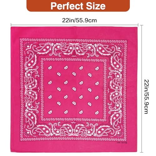 image for Raylarnia 100% Cotton Large Bandanas for Men and Women, 22 Inch Paisle