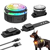 UMIONE LED-Hundehalsband Regenbogenlicht & Reflektierend – Wasserdichtes Sicherheitshalsband mit Silikonband für Hunde – Nachtsichtbarkeit, Langlebig & Sichtbar bei Dunkelheit