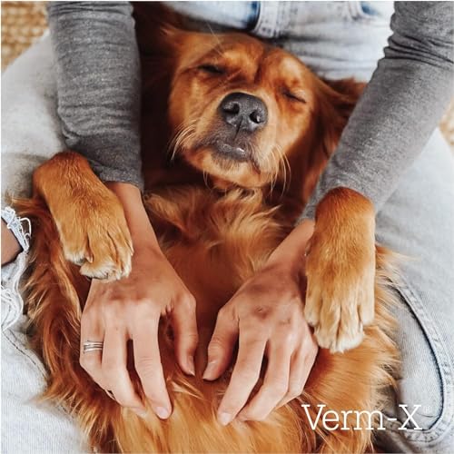 Verm-X Floh- & Zeckenpulver für Hunde, wirksames natürliches Abwehrmittel, 100% natürliche Inhaltsstoffe, umweltfreundlich