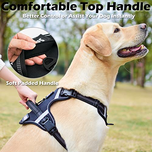 LOCYFENS Dog Harness, No Pull Dog Harness with Soft Handle and 2 Leash Clips, Service Dog Harness with 4 Different… - Image 6