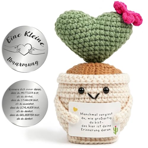 Goledwedy Geschenke für Frauen Pocket Hug Gestrickte Kaktus Glücksbringer Geburtstagsgeschenk für Frauen Schwester Geschenk Personalisierte Geschenke Frauen Dankeschön Geschenke
