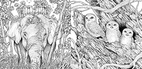 Fragile World: Colour Nature's Wonders
