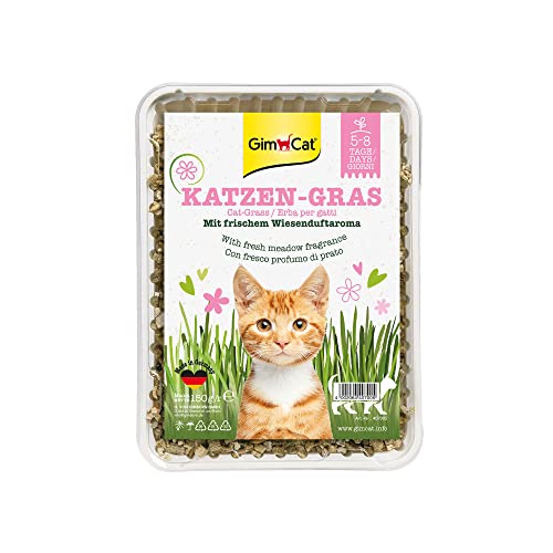 GimCat hierba para gatos con aroma a pradera - Hierba para gatos de plantación controlada - De rápido cultivo en 5-8 días - 1 bandeja (1 x 150 g) Cover