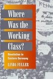 revolution germany 1919  Where Was the Working Class?: REVOLUTION IN EASTERN GERMANY