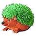 Chia Pet Hedgehog with Seed Pack, Decorative Pottery Planter, Easy to Do and Fun to Grow, Novelty Gift, Perfect for Any Occasion, Terra Cotta