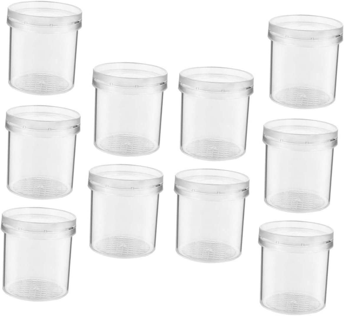Insect Observation Cup Magnifying Critter Box for Boys and Girls Small Breeding Container Lid for Outdoor Exploration and Science Education