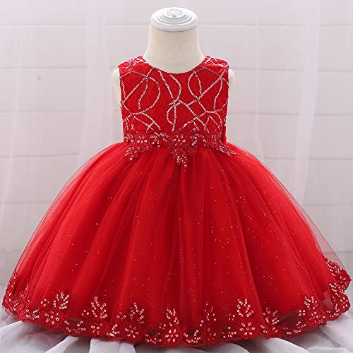Image of Baby Toddler Lace Dress Girls First Baptism Elegant Embroidery Party Flower Bridesmaid Dresses Up