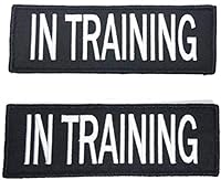Algopix Similar Product 6 - Leashboss in Training Dog Patch for