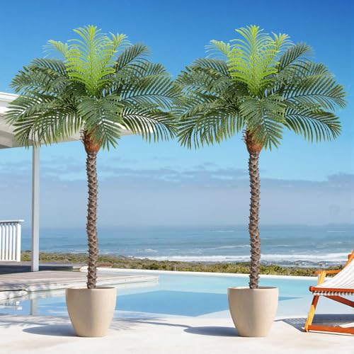 Image of 6ft Tall Artificial Phoenix Palm Tree for Outdoor Indoor Decor, Large Faux Coconut Silk Palm Tree Tropical Fake Tree Perfect for Outside Patio Poolside Home Office Decor (Set of 2)