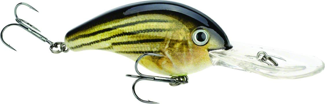 Strike King Promodel Crankbait S5XD Barfish
