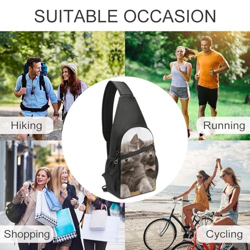 Funny Cats Mochila Bandolera Ligera para Senderismo miniatura 6
