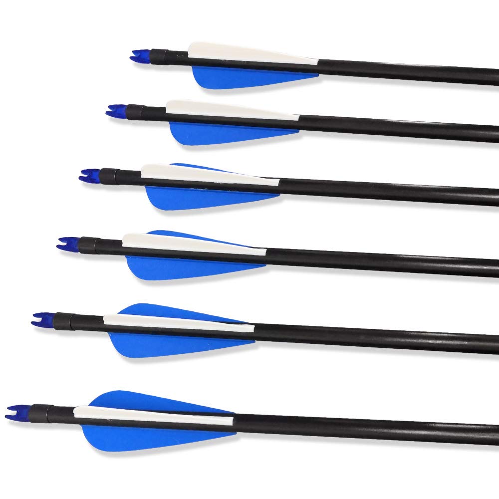 12pcs Flèches en Fibre de Verre 30 Pouces Flèches de Chasse avec Flèche Carquois Spine 500 pour Arc Classique et Arc à Poulies (Type 1:Noir