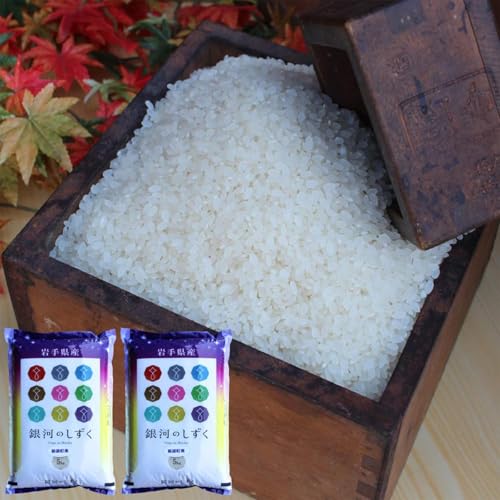 米 銀河のしずく 10kg (5kg×2) 精米 白米 特A受賞 令和7年産 岩手県紫波町産 (2回定期便)ふるさと納税 岩手県 紫波町 ギフト 贈答品 プレゼント 家庭用 自宅用 大容量 まとめ買い 特産品 お取り寄せ グルメ お中元 お歳暮 記念品 詰め合わせ 贅沢 人気 ランキング