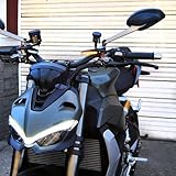 New Rage Cycles Front Turn Signals Compatible With Ducati Streetfighter V4 | V2 (2020 -Present)