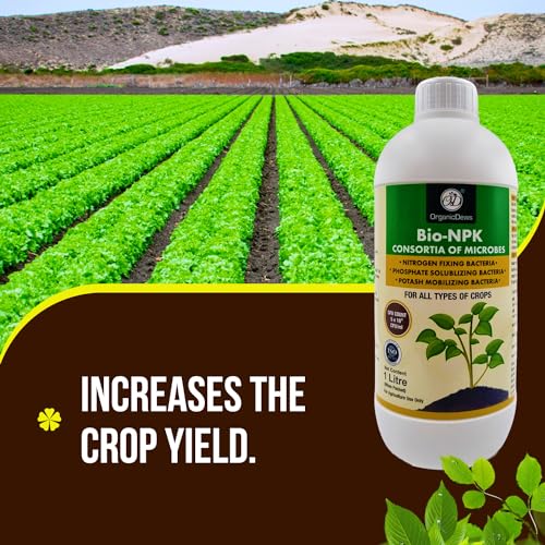Image of OrganicDews Bio NPK consortia (5x10^8 CFU /ML) Bio Inoculum Fertilizer (6 Litre) for Plants - Soil Fertility, Faster Plant Growth and Increases the Yield 6 Litre