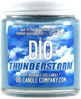 Adorable Size Candle Thunderstorm Rain Petrichor - Fresh Earth - Warm Summer Rain - Candle 4oz