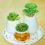 QUOZUO 6 succulentes artificielles vertes de 6 à 13 cm photo 4