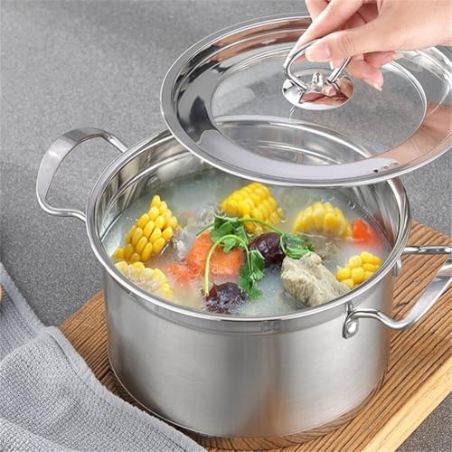 Marmite en acier inoxydable – Marmite à induction robuste avec couvercle visible pour pâtes, soupes, spaghettis, fond épais antiadhésif, grande marmite profonde pour mise en conserve, ébullition