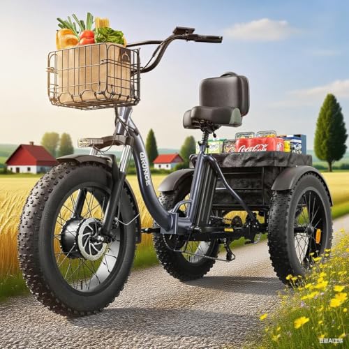 QRONGE Electric Trike for Adults 960W Peak, 36V 15AH...