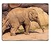 Produktbild Naturkautschuk-Gaming-Mousepad Baby süßer Elefant cherrfully im Sommer spazieren (Mauspad/Gaming-Mauspad)