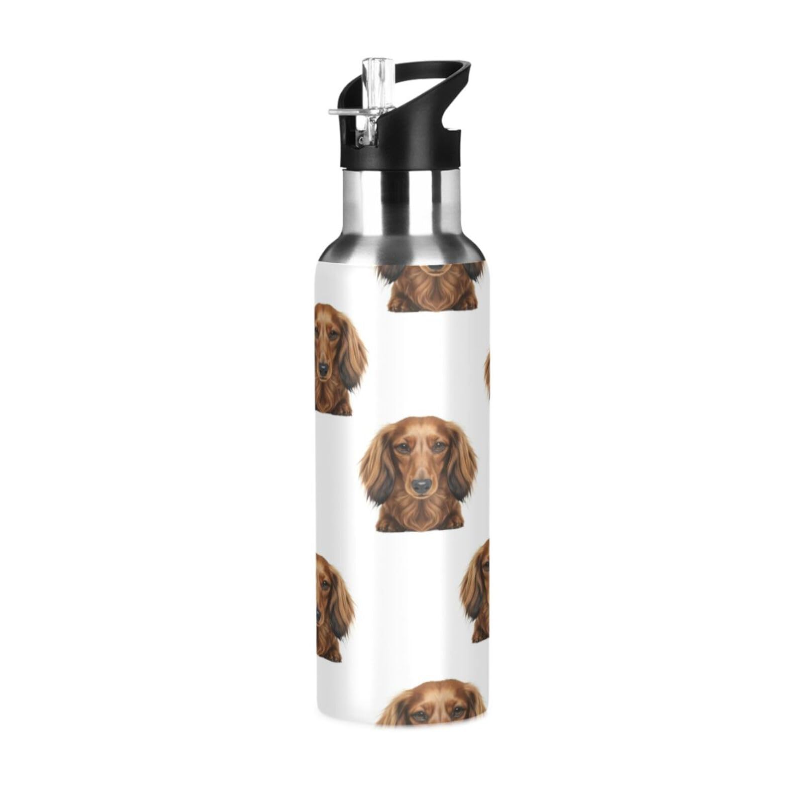 BOESI Dachshund Faces Insulated Water Bottle 600ml, Stainless Steel Vacuum Sports Bottle with Straw, Leak Proof Thermal Bottle for Gym Travel Outdoor
