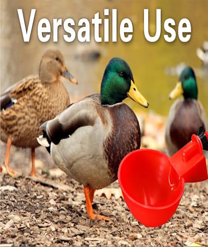 Image of 8 Pcs Poultry Farm Equipment, Poultry Water Cup, Chicken Feeder and Drinker Chicken Feeder Cup Poultry Farm Equipment Chicken Drinking Cup on Barrel Chicken Feeder and Drinker Auto Refill Water